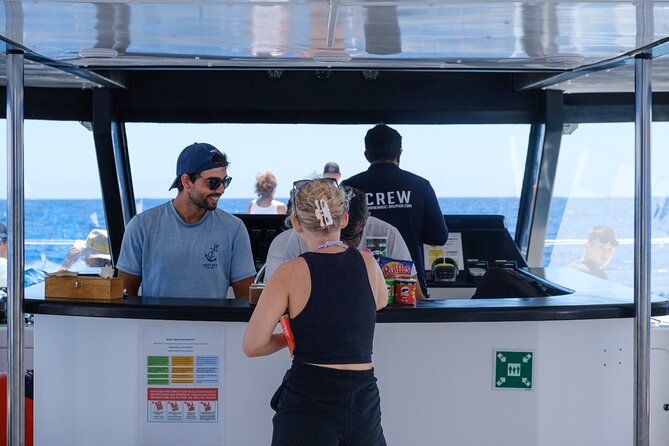 Eco-Friendly Catamaran Dolphin and Whale Watching - Bar, snacks, and drinks: what’s included and what you’ll pay for