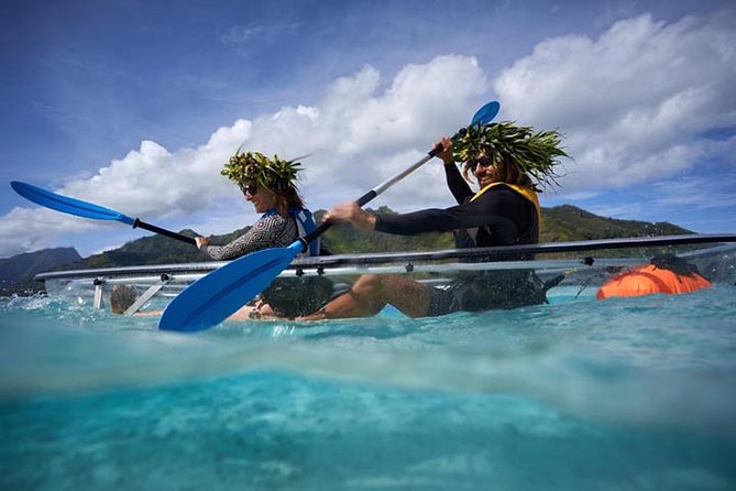 Eco guided excursion to the lagoon of Moorea in transparent kayak 1/2 day morning - Price and Value: What You’re Paying For at $91.10