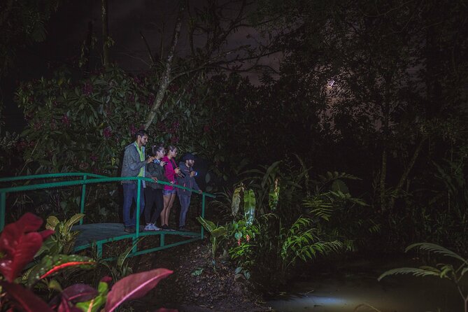 Ecogarden Arenal Night Walk - Key things to know before you go