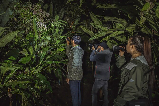 Ecogarden Arenal Night Walk - Ecogarden Arenal: An educational preserve, not just a “see stuff” walk