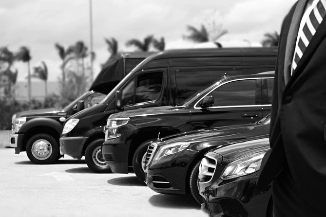 Economy Arrival Transfers From Santorini Airport To All Destinations - Handling Delays: Flight Tracking and Driver Timing