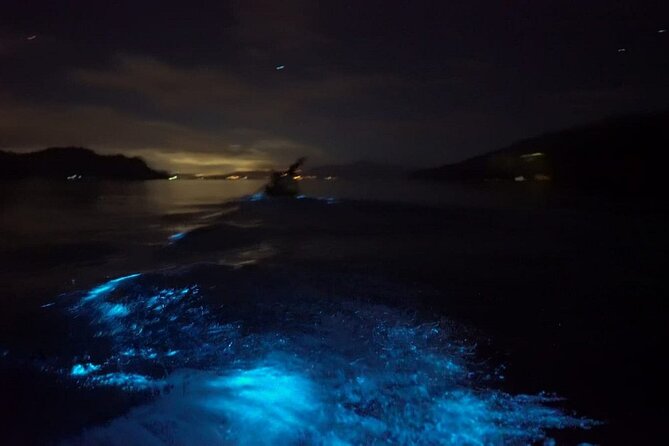 Eddy's Bioluminescence Reserve in Punta Cuchillos - Key things to know before you go