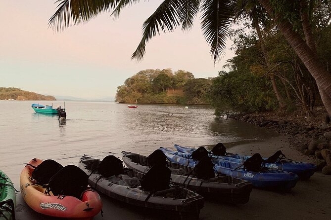 Eddy's Bioluminescence Reserve in Punta Cuchillos - Punta Cuchillos at 6:15 pm: a simple plan with a big payoff