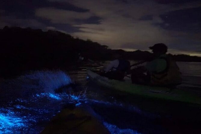 Eddy's Bioluminescence Reserve in Punta Cuchillos - Who this bioluminescence kayak tour is best for