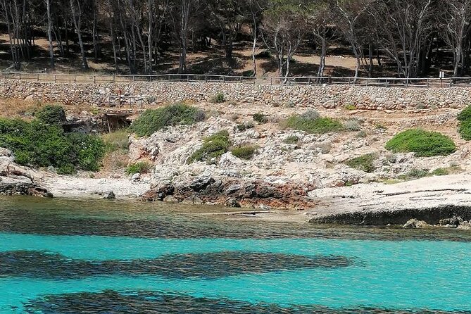 Egadi Islands Boat Tour: Favignana and Levanzo with Lunch - Levanzo: a wilder, more relaxed feeling than the bigger island