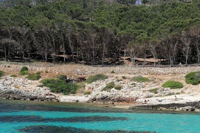 Egadi Islands Boat Tour: Favignana and Levanzo with Lunch - Meeting at Marina Vento di Maestrale (and why timing matters)