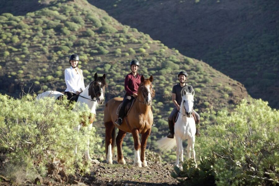 El Salobre: Horse Riding Adventure with Transfer Options - Key things that make El Salobre stand out