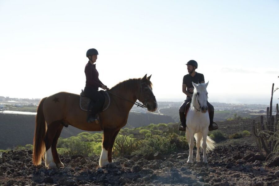 El Salobre: Horse Riding Adventure with Transfer Options - Maspalomas dune views: the hilltop moment that makes the ride feel special