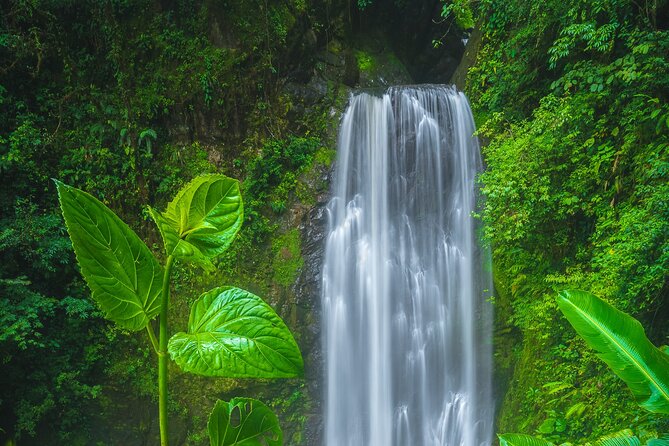 El Tigre Waterfalls Hiking Tour with Lunch and Nature Guide - Key Highlights You’ll Care About