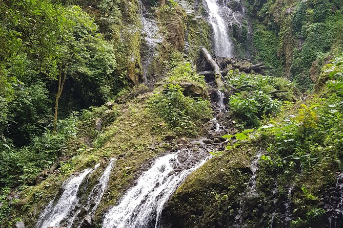El Tigre Waterfalls Hiking Tour with Lunch and Nature Guide - El Tigre Waterfalls: A Half-Day Cloud-Forest Reset