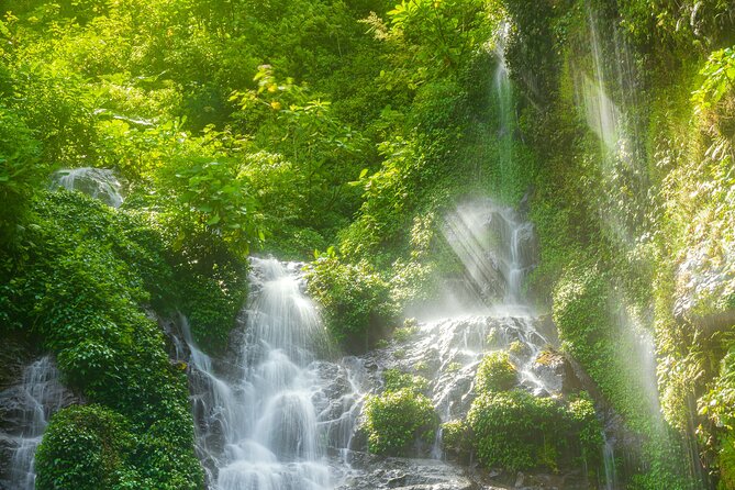 El Tigre Waterfalls Hiking Tour with Lunch and Nature Guide - The Waterfall Finale: Getting to Point #4 and Then Moving Again