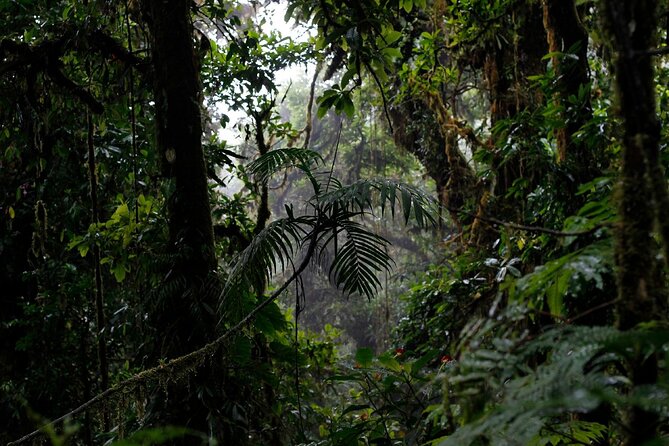 El Tigre Waterfalls Hiking Tour with Lunch and Nature Guide - Optional Bike Zip Line: Only If You’re Good With Heights