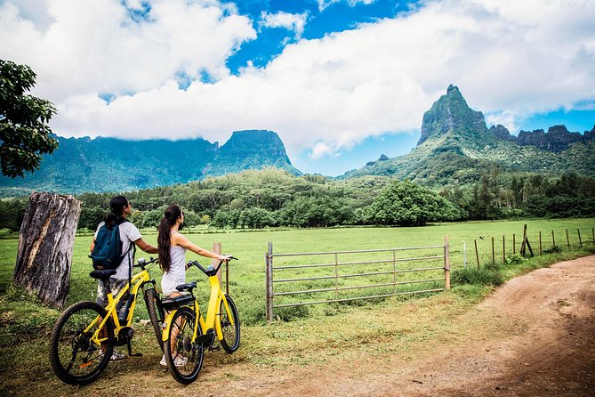 Electric Bike Rental Moorea - E-Bike Power and Comfort: The Saddle Fit Matters