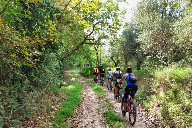 Eleftherna E-Bike and MTB Tour - Experience The Authentic Crete - Key highlights I’d plan around