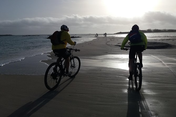 Eleftherna E-Bike and MTB Tour - Experience The Authentic Crete - E-bike learning curve: what to expect before you feel free