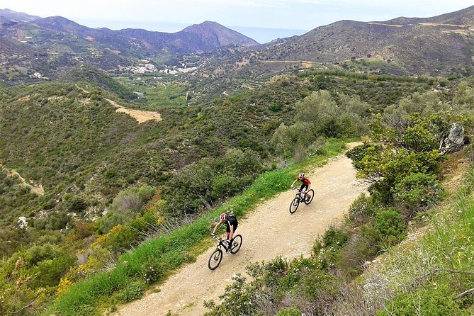 Eleftherna E-Bike and MTB Tour - Experience The Authentic Crete - Taverna beverage stop: small pause, big morale boost