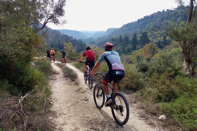 Eleftherna E-Bike and MTB Tour - Experience The Authentic Crete - Starting point at The Royal Blue Resort in Panormos (9:30 am)