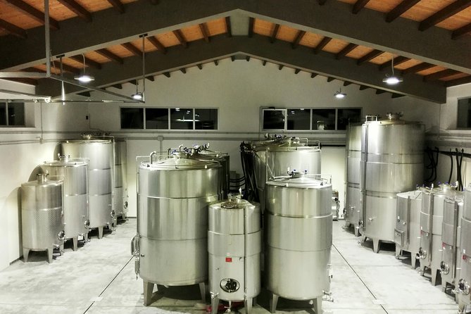 Embark on a Sicilian Wine Journey - Key things to know before you go