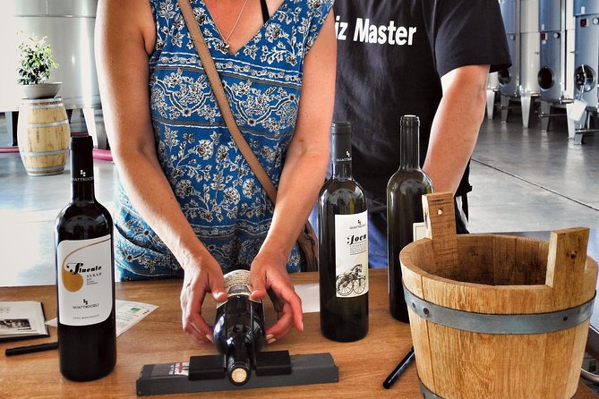 Embark on a Sicilian Wine Journey - Visit the winery: the production side you actually remember