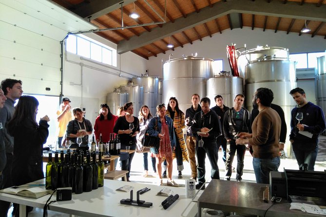 Embark on a Sicilian Wine Journey - Bottling, capping, and labeling: your souvenir is part of the program