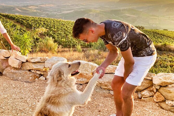 Embark on a Sicilian Wine Journey - Who this tour is for (and who should skip it)
