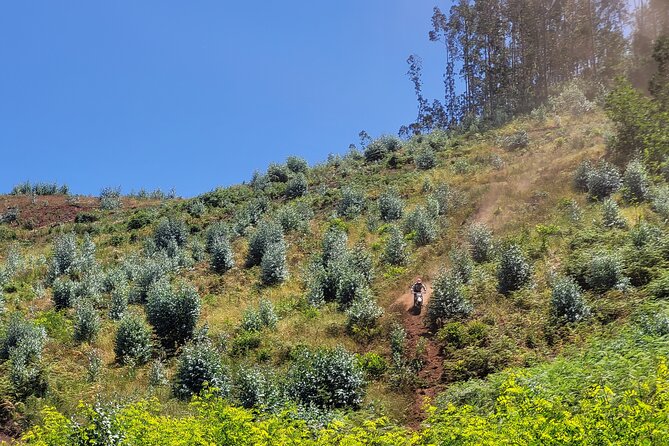Enduro Dirt-Bike Tour - English-Friendly, Small-Group Coaching That Doesn’t Talk Over You