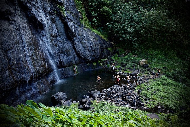 Enjoy Moorea Day Tour - Moorea Tropical Garden and Vanilla Plantation Stop