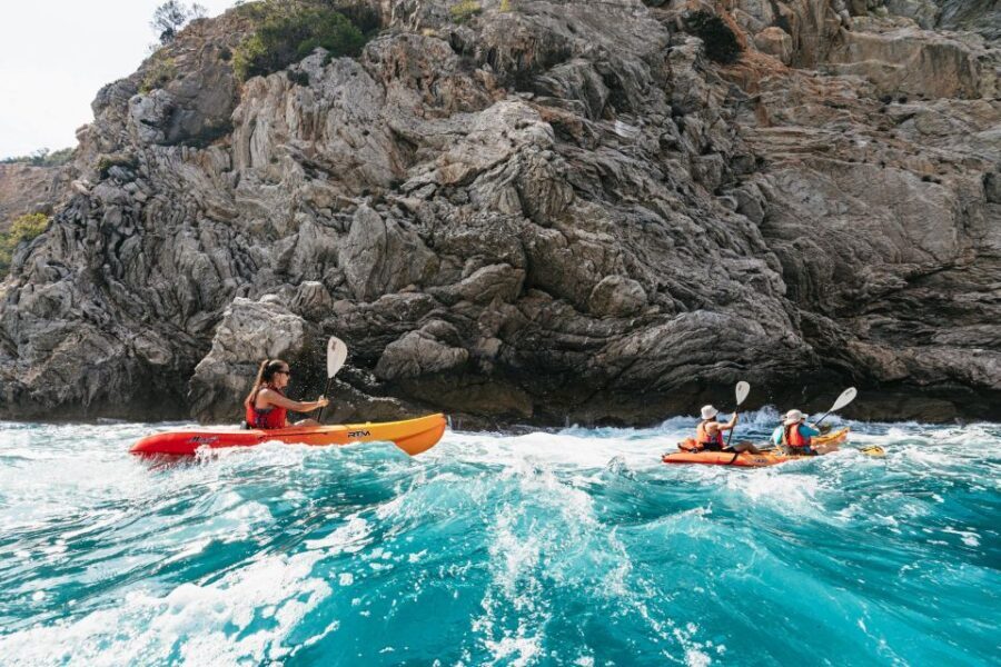 Es Figueral: Guided Kayaking and Snorkeling Tour - Price and value: why $59 can feel fair for 3 hours