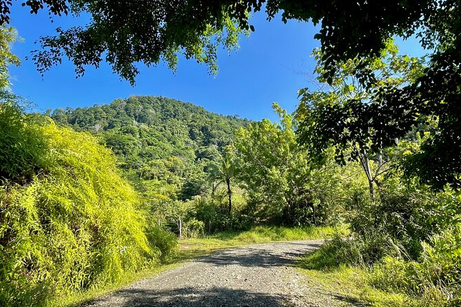 Esquipulas Rainforest - Private Birding - Fully Customizable Tour - Entering Esquipulas: why this rainforest property works for birds