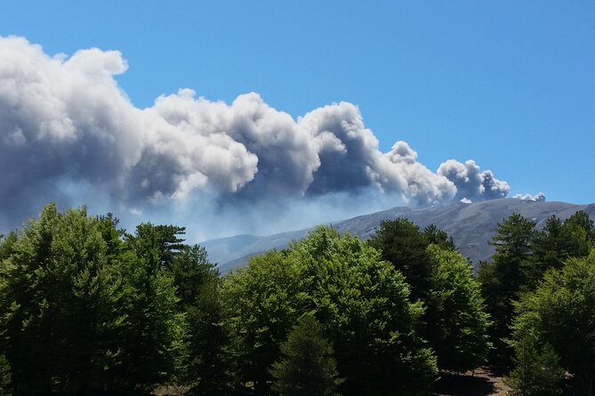 Etna & Alcantara - Piano Provenzana: The 2002 Eruption Stop and Etna Honey Liqueurs
