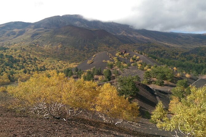 Etna & Alcantara - Alcantara Gorges: Basalt Cliffs, Icy River Water, and a Gorge Walk