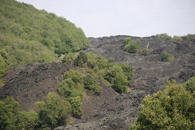 Etna & Alcantara Tour Experience - Price and logistics: what $191.58 gets you