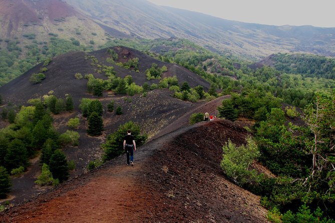 Etna excursion - Crossing Lava Flows and Walking Crater Ground on Monti Sartorius