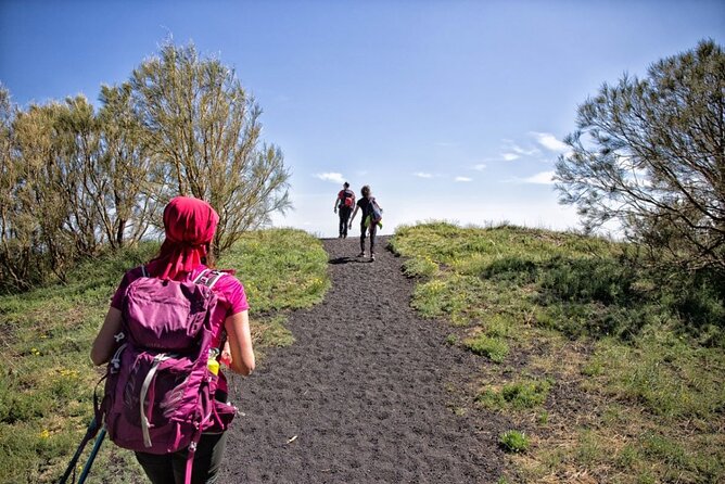 Etna Family Tour Excursion for families with children on Etna - Key highlights you’ll actually feel
