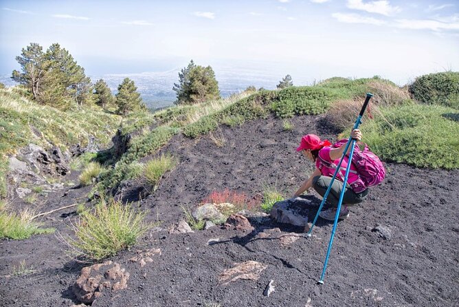 Etna Family Tour Excursion for families with children on Etna - What’s included (and what that means for your wallet)