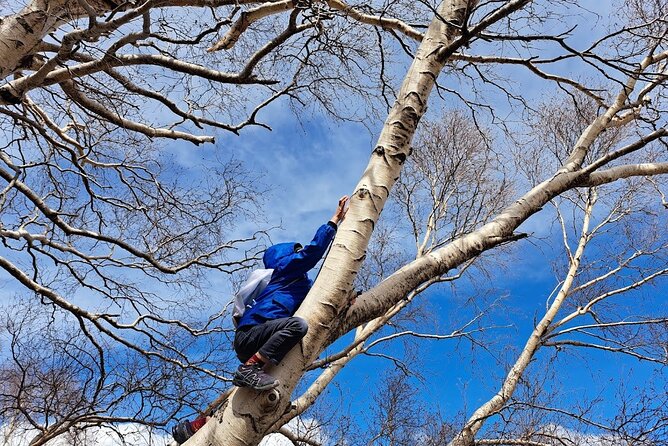 Etna Family Tour Excursion for families with children on Etna - Monti Sartorius: extinct craters, lava flows, and the white birch pause