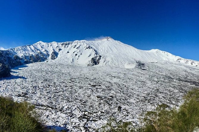 Etna Grantour - 4x4 & trekking - Private tour with lunch included - Stop 2: Silvestri craters and the drama of a lateral eruption