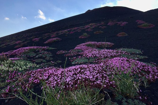 Etna Grantour - 4x4 & trekking - Private tour with lunch included - Stop 4: MontataGrande farm lunch, tastings, and the best part of the pause