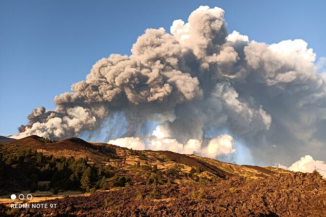Etna Morning From Catania - Food Stop and Etna Tasting: Honey, Oil, and Volcano Wine