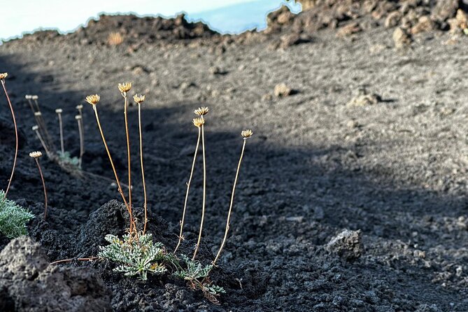 Etna Morning or Sunset - Trek & Lava Tunnel with Gear - Pace, route demands, and who will enjoy it most