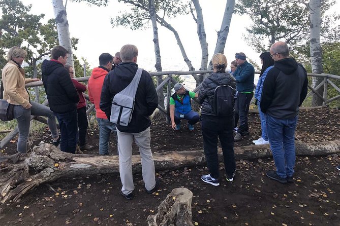 Etna Tour - HalfDay Small Group & licensed Tour Guide - Silvestri Crater: the €5 add-on if you want the small one