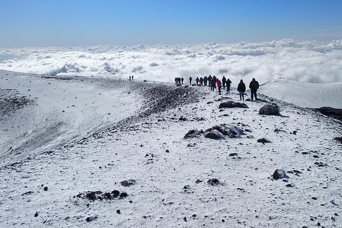 Etna Tour - HalfDay Small Group & licensed Tour Guide - Farm tasting after the volcano: local products and Sicilian wine time