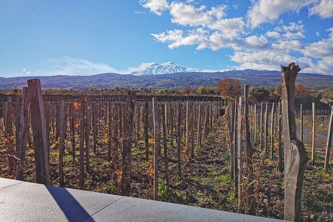 Etna Wine and Alcantara with lunch - Why this Mt Etna + Alcantara day tour feels like a win