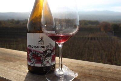 Etna Wine and Alcantara with lunch - Linguaglossa lunch and wine tasting: where the day slows down