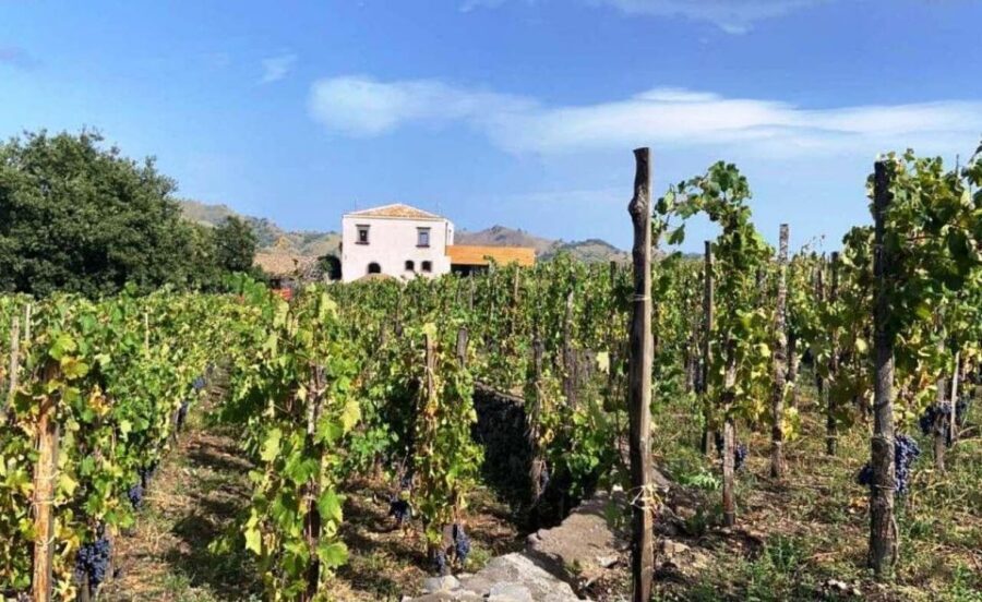Etna: Wine Tasting and Food Tour - Key Highlights You’ll Feel Immediately