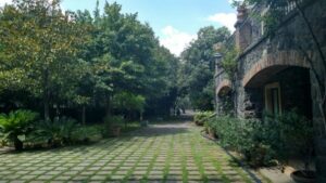Etna: Wine Tasting and Food Tour - The Sommelier Stop: Turning Etna Wine into a Clear Story