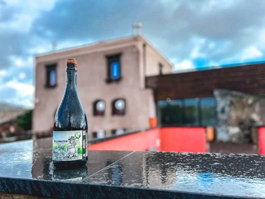 Etna: Wine Tasting and Food Tour - Vineyards After Lunch: Seeing How the Wine World Works