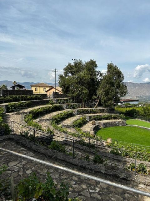 Etna: Wine Tasting and Food Tour - Driving From Catania and Back: A Long Day With a Smooth Rhythm
