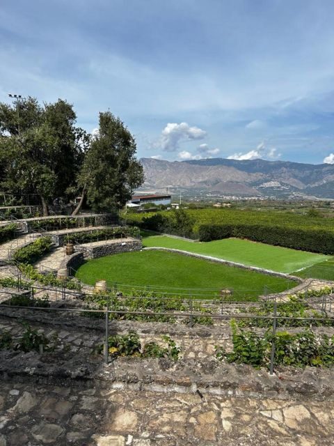 Etna: Wine Tasting and Food Tour - Price and Value: Is $129.14 Worth It?