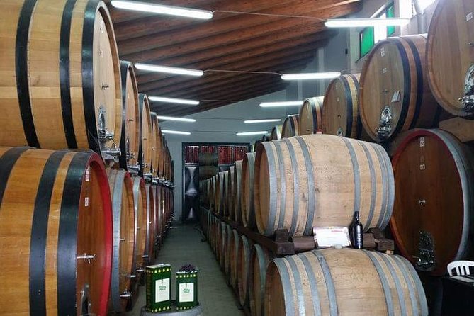 Etna Wine Tasting & Sicilian Lunch –Small Group Tour from Catania - Key Highlights to Know Before You Go